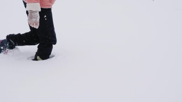 Een vrouw die knieën in de diepe sneeuw. Blizzard en slecht weer, geen weg — Stockvideo