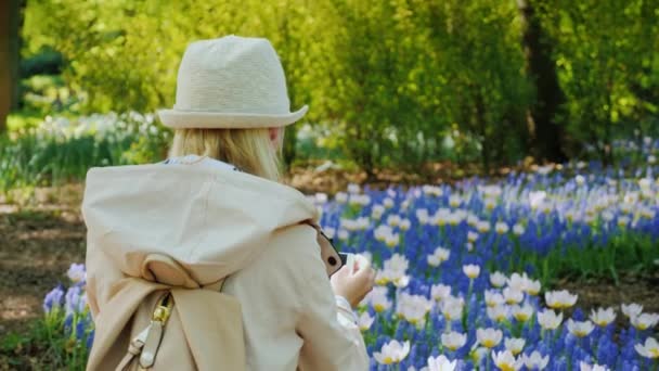 Ein Tourist in heller Kleidung macht ein Foto von einer roten Komposition aus weißen Tulpen und lila Feldblumen in einem Frühlingsgarten — Stockvideo