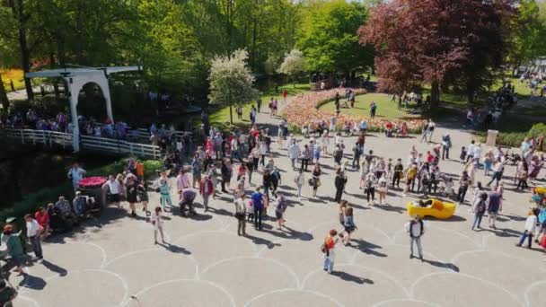 Keukenhof, Lisse Olanda Maggio 2018: I turisti vengono al parco Keukenhof per ammirare la stagione dei tulipani in fiore. Vista dall'alto — Video Stock