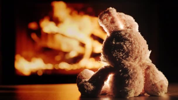 Conejo de felpa solitario admira el fuego en la chimenea insertar — Vídeos de Stock