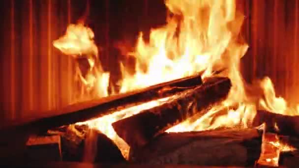 Bir adam bir şömine eklemek meşe odun koyar. Cam Giyotin tipi yükseltir, günlük ateşe koyar — Stok video