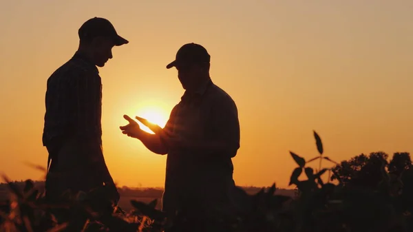 農家は、若い労働者に握手を求めて手を差し出します。アット サンセット - アグリ ビジネス概念フィールドに立っています。 — ストック写真