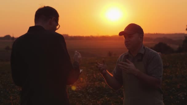 Rolnik, omawiając z biznesmenem w polu — Wideo stockowe