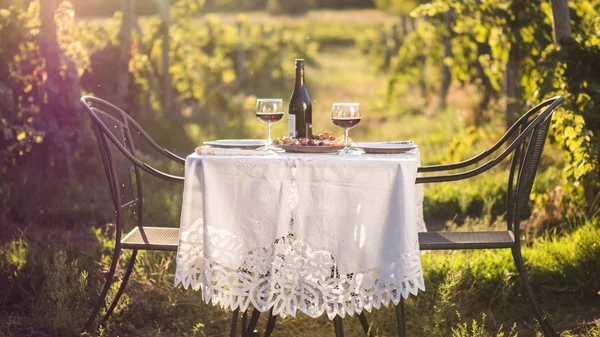 Стіл подається з закусками і червоним вином для романтичної вечері в саду — стокове фото