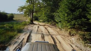 SUV ormanda off-road rides