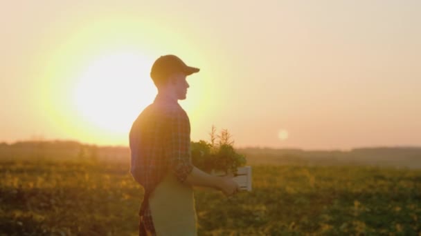 Um jovem agricultor carrega uma caixa com verduras e especiarias. Passa pelo seu campo — Vídeo de Stock