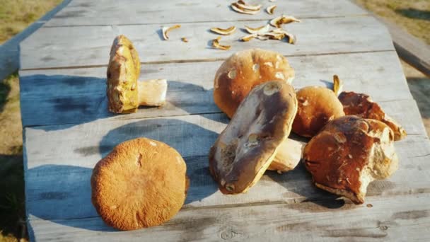 Os cogumelos estão em uma mesa de madeira ao ar livre — Vídeo de Stock
