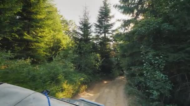 Extrema off-road körning i skogen — Stockvideo