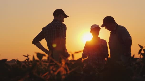 Skupina zemědělců v poli potřesení rukou. Rodinné podnikání v zemědělství — Stock video