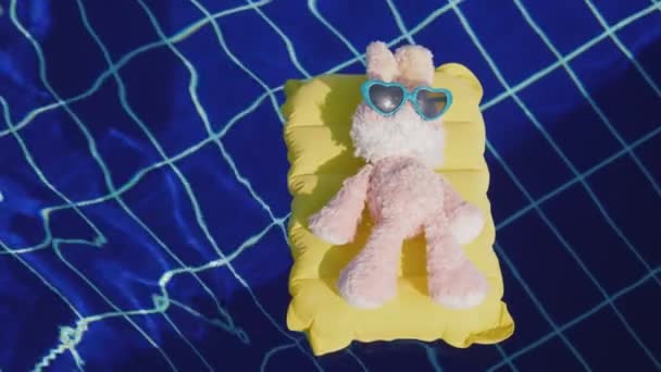 Заяц-хипстер отдыхает на курорте. Плавает на надувном матрасе, на нем солнечные очки — стоковое видео