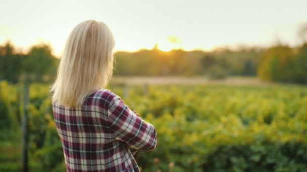 Il proprietario ammira il suo giardino, vista posteriore — Video Stock