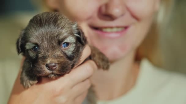 Gelukkige vrouw met een kleine pup in haar armen — Stockvideo