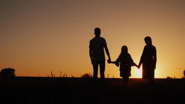 Familia joven con un niño admirando la puesta de sol en el campo, tomados de la mano — Vídeos de Stock