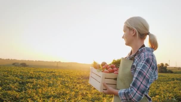 Um jovem agricultor com uma caixa de vegetais atravessa o campo. Produtos agrícolas — Vídeo de Stock