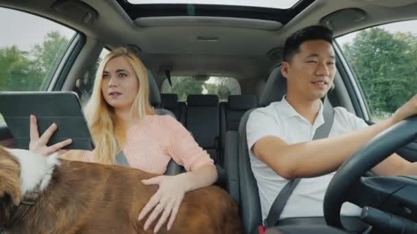 Cute girl with a dog in her arms and a tablet in the car shows the way to an Asian guy at the wheel, front view — Stock Video