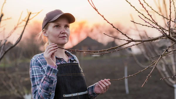 Jonge vrouw tuinman onderzoekt boomtakken in de tuin — Stockfoto