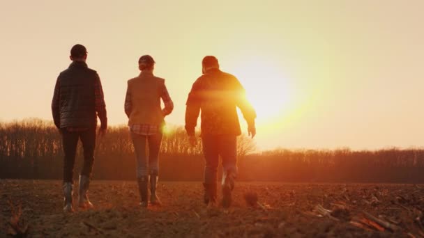 Három gazdák megy előre egy szántott területen naplementekor. Gazdák fiatal csapata — Stock videók