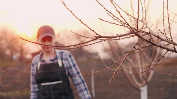 Kvinna trädgårdsmästare arbetar i sin trädgård, undersöker skott av träd — Stockvideo