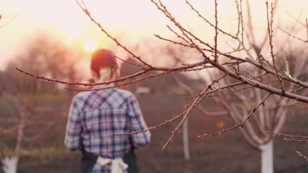 Садівник прогорів через свій сад на заході сонця — стокове відео