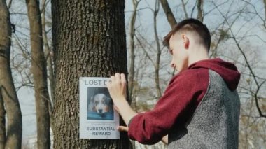 Genç kayıp köpekler için reklamları koyar