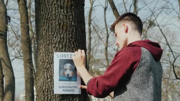 Teen βάζει διαφημίσεις για τα χαμένα σκυλιά — Αρχείο Βίντεο