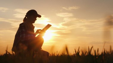 Silhouette of a farmer working with a digital tablet in the field at sunset. clipart