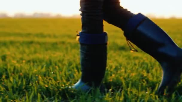 Een boer in rubber laarzen loopt over een groen veld, alleen poten zijn zichtbaar in het frame — Stockvideo