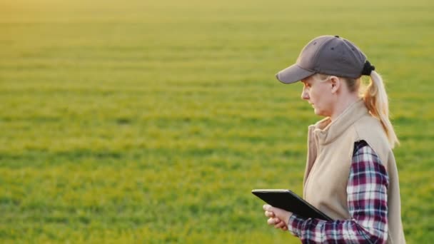 Una joven agricultora camina por un campo de trigo llevando una tableta — Vídeo de stock