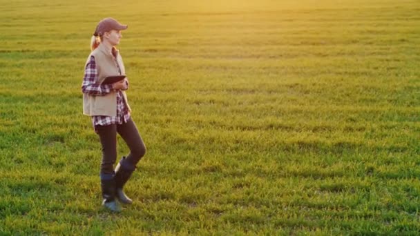 Bir genç kadın çiftçi yan görünümü bir tablet taşıyan bir buğday tarlası boyunca yürür — Stok video