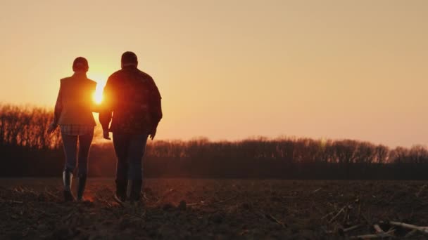 Silhouettes de deux fermiers marchant à travers le champ vers le soleil levant — Video