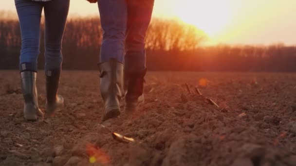 Benen van twee boeren in rubberen laarzen wandelen langs een geploegd veld bij zonsondergang — Stockvideo