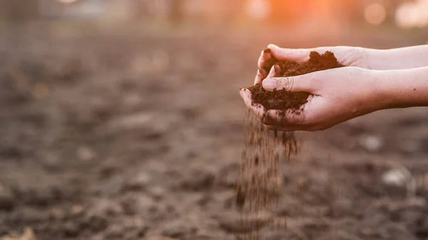 The hands of the farmer crush with pour out the soil over the field. Spring work — Stock Photo, Image