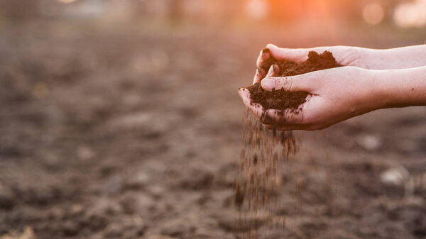 The hands of the farmer crush with pour out the soil over the field. Spring work