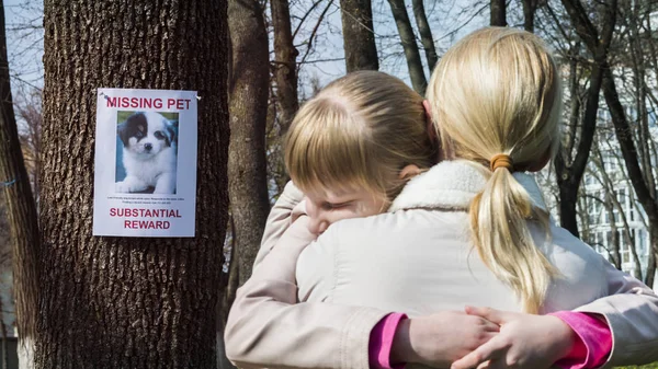 A gyermek felbosszantott eltűnt kiskutya, anya megnyugt le — Stock Fotó