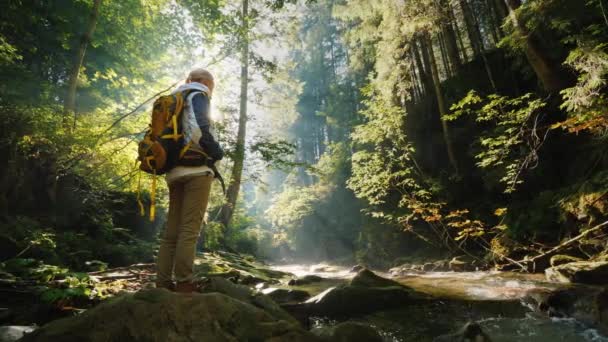 En kvinna med en ryggsäck bakom henne beundrar den vackra naturen i skogen. — Stockvideo