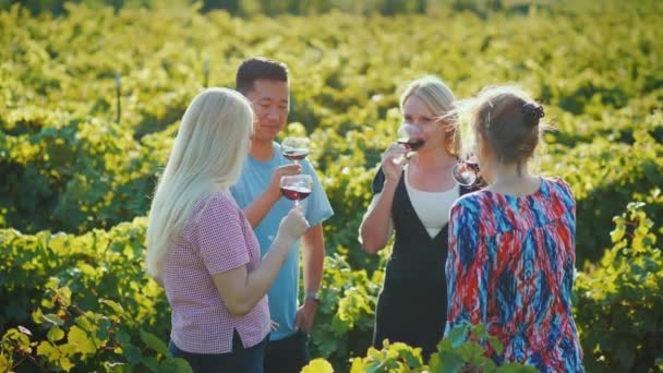 Багатоетнічна група туристів дегустація вина в винограднику. Винний тур і поїздка до місця виробництва вина концепції — стокове відео