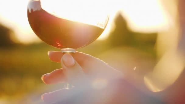 El enólogo sostiene una copa de vino tinto, lo mira al sol. Primer plano. Vídeo en cámara lenta — Vídeos de Stock