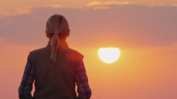 Una silueta de una mujer caminando hacia adelante hacia el gran sol rojo. Vista trasera — Vídeo de stock