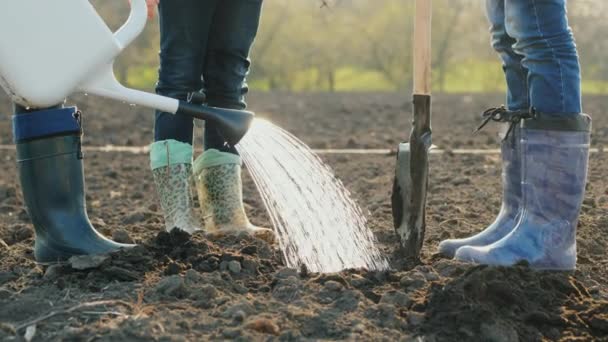 Mujer con dos niños plantas arbustos de grosella en el jardín — Vídeos de Stock