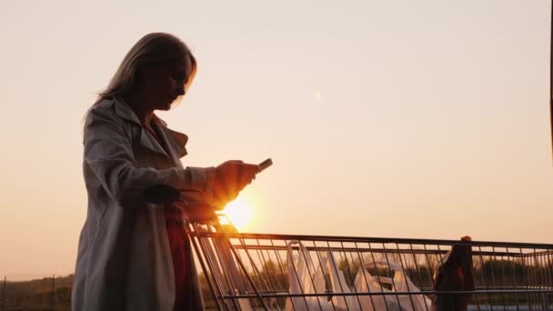 Mujer comprobar sus compras en el carro con una lista en el teléfono inteligente — Vídeos de Stock