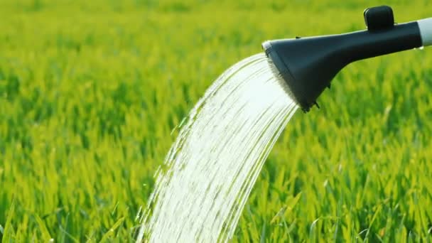 Uitloop met een diffusor sprinkler waaruit het water naar het groene gras stroomt — Stockvideo