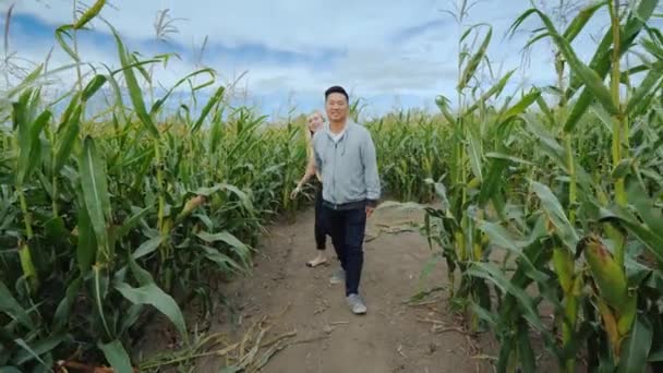 Young active multi-ethnic couple having fun in a corn maze — Stock Video