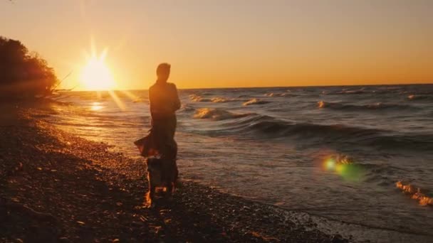 Eine junge Frau geht bei Sonnenuntergang mit einem Hund am Ufer des Ontariosees spazieren. windiges Wetter, schöner Sonnenuntergang — Stockvideo