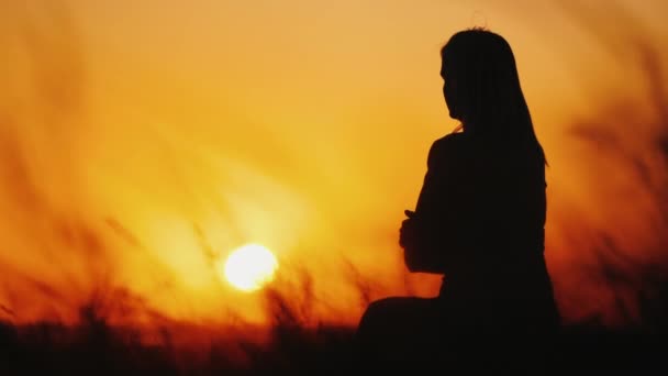 Silhueta de uma mulher na grama alta ao pôr-do-sol. Grama balançando no vento — Vídeo de Stock