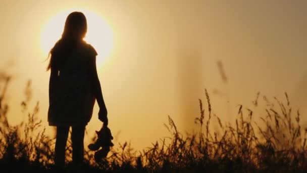 Silhueta de uma menina com balões e um ursinho de pelúcia. Vale o pôr-do-sol. Adeus ao conceito de infância — Vídeo de Stock