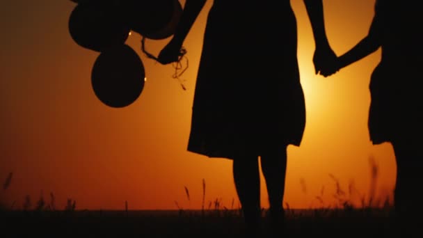 Anya és lánya gyaloglás naplementekor. A léggömböt és a mackót — Stock videók