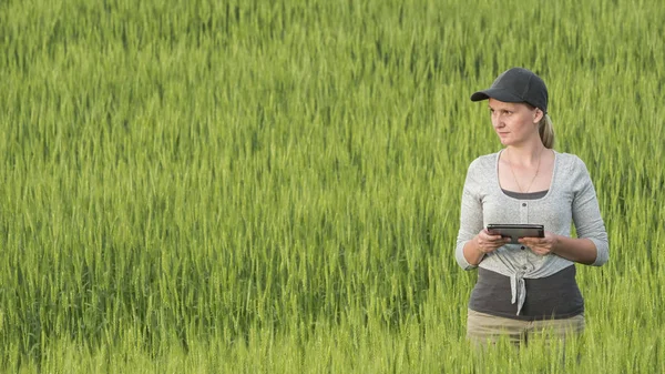 Vrouwelijke boer met tablet in de hand staat op groen tarweveld — Stockfoto