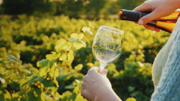 Verter el vino en una copa sobre el fondo del viñedo. Concepto de tour del vino — Vídeos de Stock