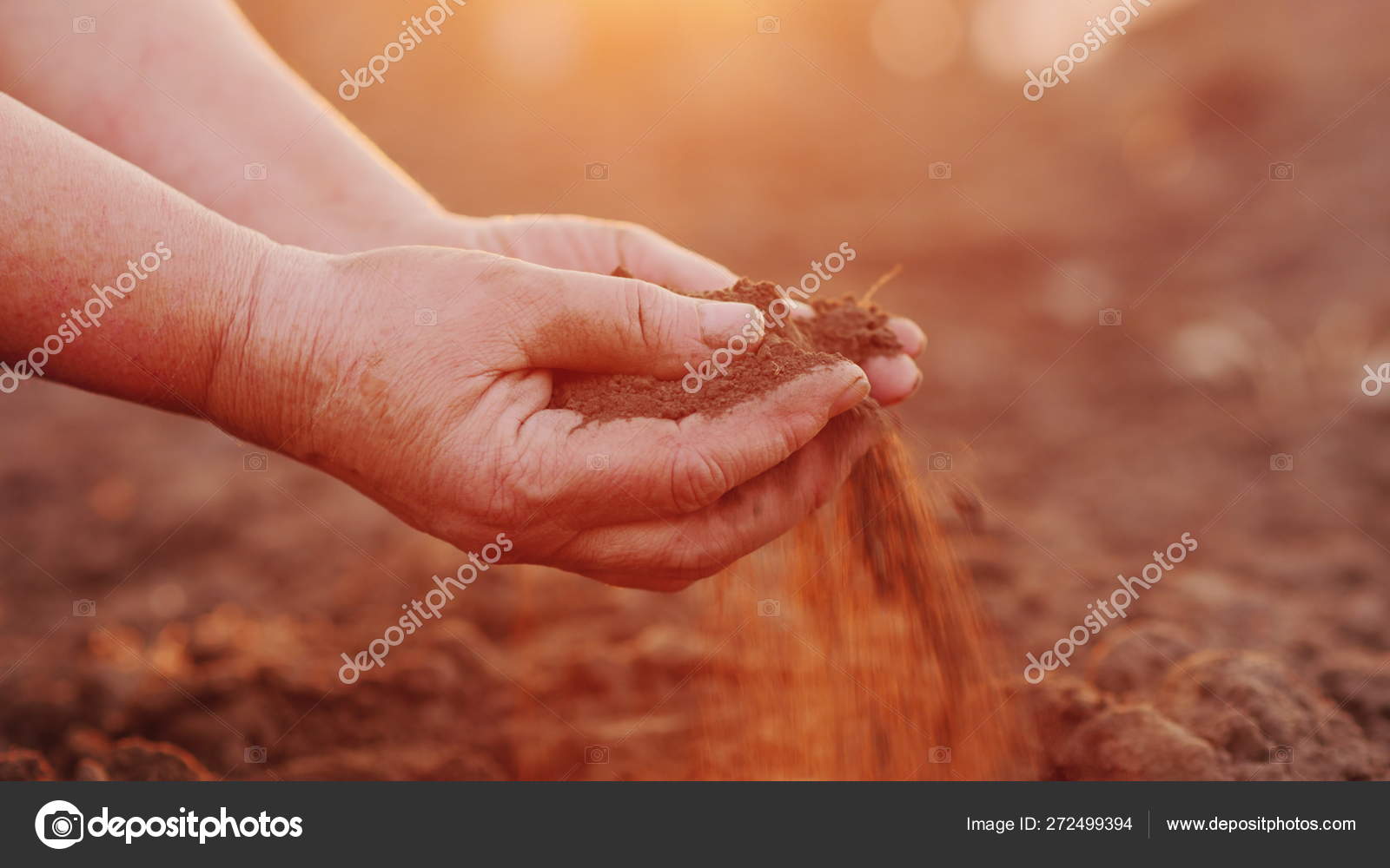 Farmer hands with black soil, organic farming concept Royalty Free