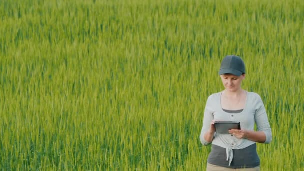 Mulher agricultora com tablet na mão fica no campo entre as espigas de trigo — Vídeo de Stock